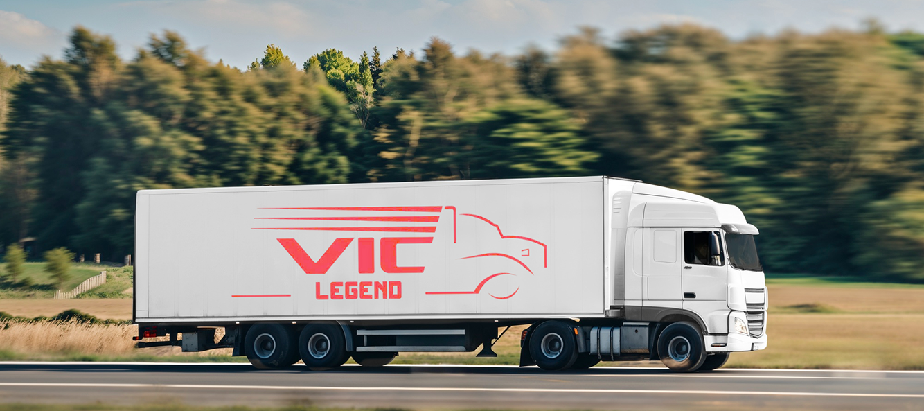 Minh hoạ cho VIC CHỦ XE 1